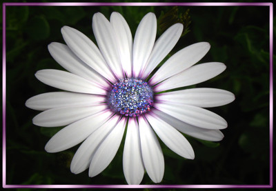 Click here to view at full resolution.