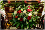 Gig Foofies 140 by corngrowth, photography->flowers gallery