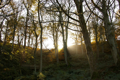 Click here to view at full resolution.