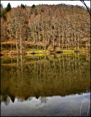 Click here to view at full resolution.