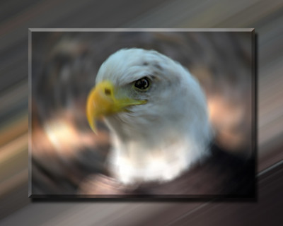 Click here to view at full resolution.