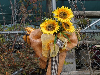 Click here to view at full resolution.