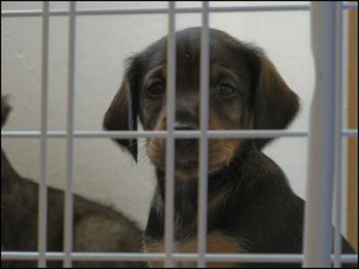 Click here to view at full resolution.