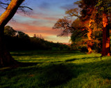 GOLDEN TREES by LANJOCKEY, Photography->Sunset/Rise gallery