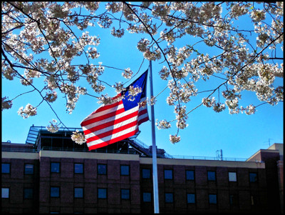 Click here to view at full resolution.