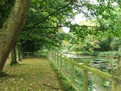 Click here to view at full resolution.