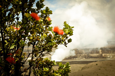 Click here to view at full resolution.