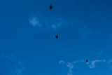 Look Up! by whttiger25, Photography->Aircraft gallery