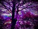 Blue Heaven by lokigrl616, Photography->Manipulation gallery