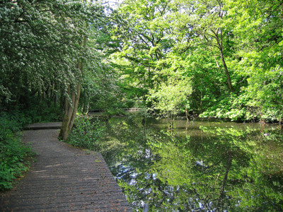 Click here to view at full resolution.