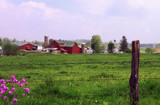 Amish Country by PatAndre, photography->landscape gallery