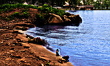 Shoreline at Indian Lake by vangoughs, photography->water gallery