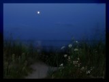 Enchanted evening by BossCamper, Photography->Shorelines gallery