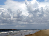 birds on the beach by jeenie11, Photography->Skies gallery