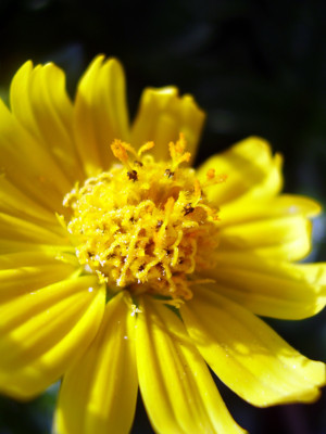 Click here to view at full resolution.