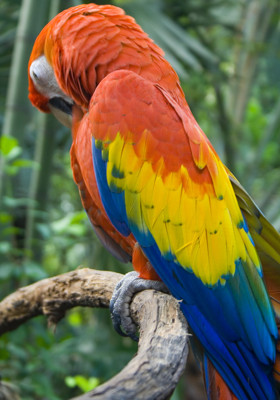Click here to view at full resolution.