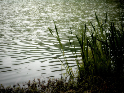 Click here to view at full resolution.
