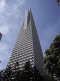 Transamerica Pyramid, San Franciso by chapd, Photography->Architecture gallery