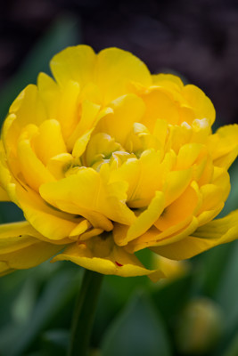 Click here to view at full resolution.