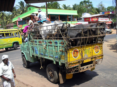 Click here to view at full resolution.