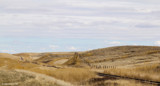 Prairie by doughlas, photography->landscape gallery