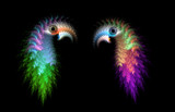 Love Birds by rvdb, abstract->fractal gallery