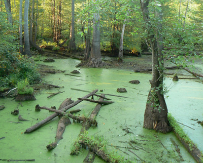 Click here to view at full resolution.