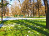 Green Winter by koca, Photography->Landscape gallery