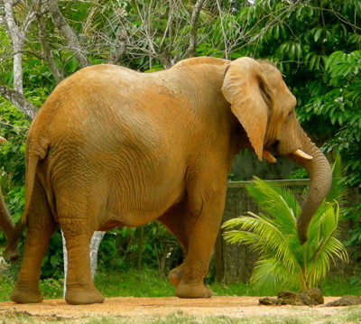 Click here to view at full resolution.