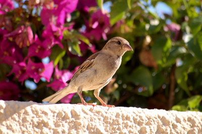 Click here to view at full resolution.
