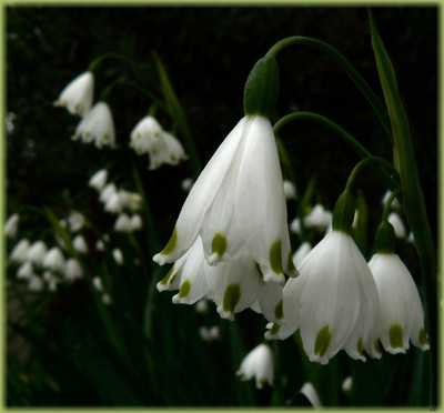Click here to view at full resolution.