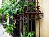 Balconies and Vegetation by bryancito, Photography->Architecture gallery