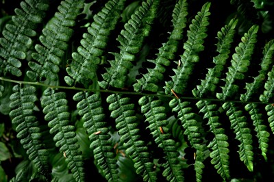 Click here to view at full resolution.