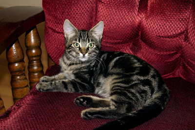 Click here to view at full resolution.