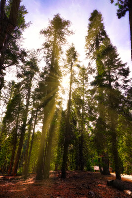 Click here to view at full resolution.