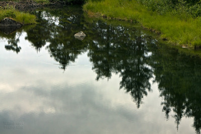 Click here to view at full resolution.