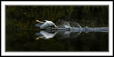 Click here to view at full resolution.