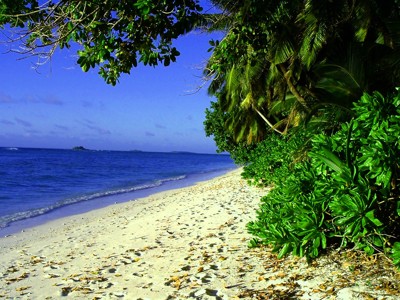 Click here to view at full resolution.