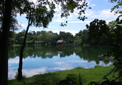 Click here to view at full resolution.