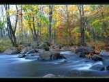 Leaves Fall, Waters Shiver - Rework by Hottrockin, Rework gallery