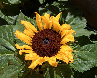 Click here to view at full resolution.