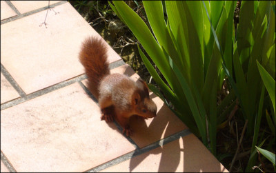 Click here to view at full resolution.