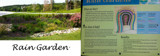 Rain Garden / Drainage Garden by Pistos, photography->landscape gallery