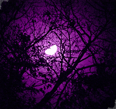 Click here to view at full resolution.
