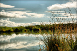 McKenzie Country Reflections by LynEve, photography->landscape gallery