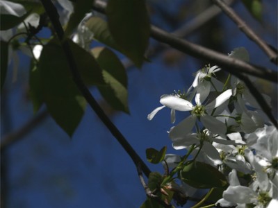 Click here to view at full resolution.