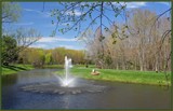 It's Springtime at Geese Pond by jerseygurl, photography->water gallery