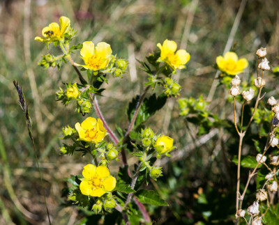 Click here to view at full resolution.