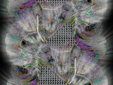Web of Deceit by Flmngseabass, abstract->fractal gallery