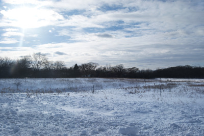 Click here to view at full resolution.